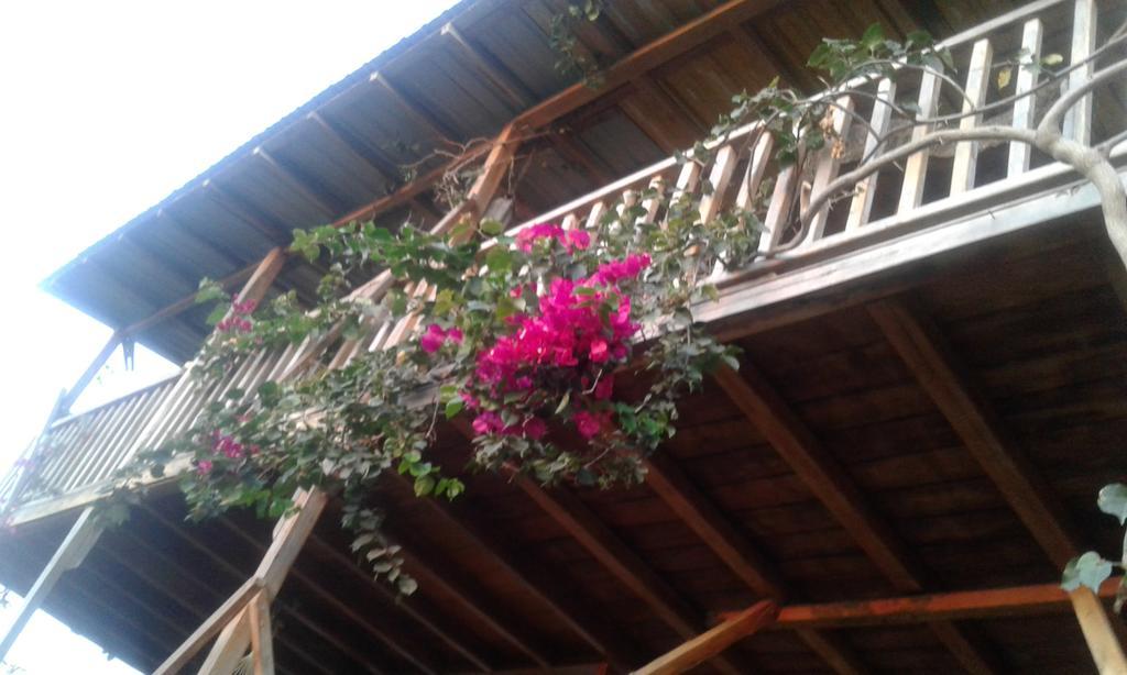 Maremonti Bed & Breakfast Puerto López Buitenkant foto